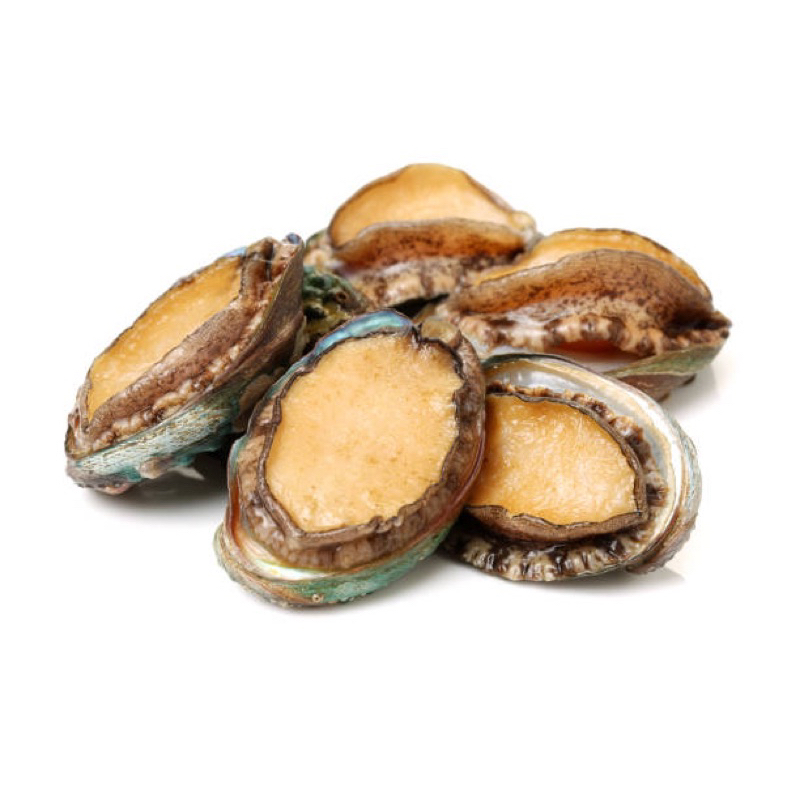 Half Shell Abalone 20-22pcs ( 1kg ± per pack)鲍鱼 Sung Tao Abalone ...