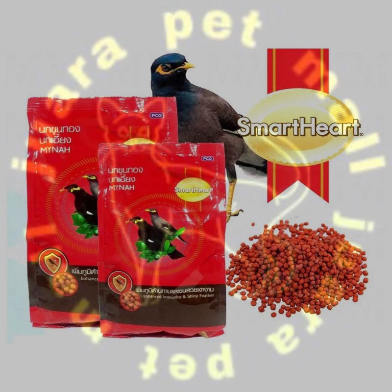 smart heart mynah bird food makanan burung mynah 400g Shopee Malaysia