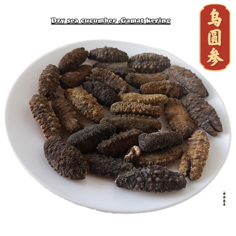 😘干海参😘元宝参 😘乌圆参😘Gamat😘sea cucumber 海味 海产 干货 补品🔥dry seacucumber , dry sea ...