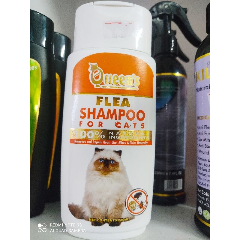 shampoo kutu kucing/cat queen's Shopee Malaysia