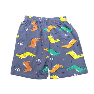 Boy's Short Pant