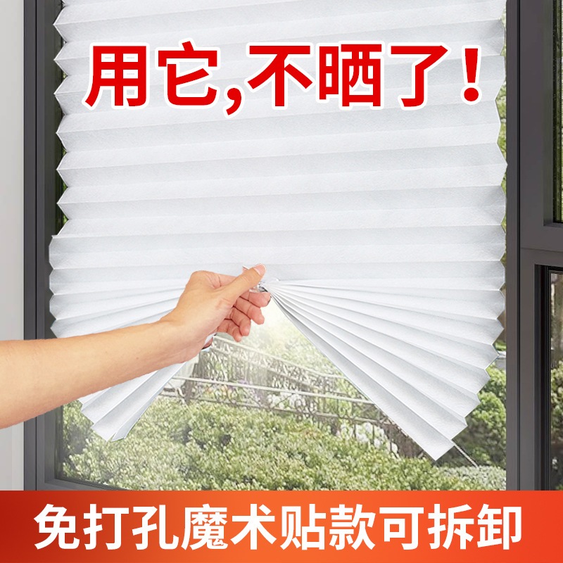 CURTAIN BLINDS SCHOTTIS BLIND BLOCK OUT PLEATED BLIND BIDAI BERLISU