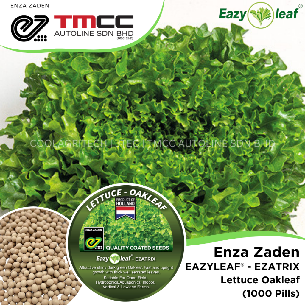 Enza Zaden Ezatrix Eazyleaf® Oakleaf Lettuce Coated Pill Seeds Product Of Holland 1000 0923