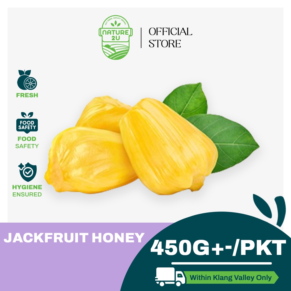 Nature2u Fresh Fruit Jackfruit Honey Peeled 菠萝蜜 450g Pkt Nangka