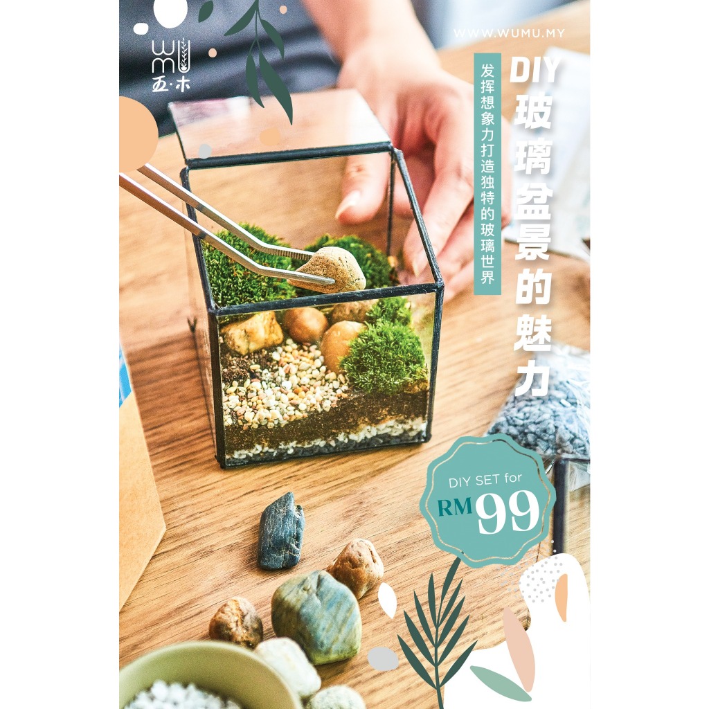 [Wumu terrarium]Promotion Start on basic theme terrarium DIY kit ...
