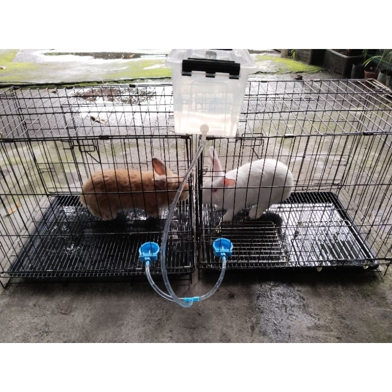 Pet Automatic Drinking Water Bottle/set tangki air rabbit hamster ...