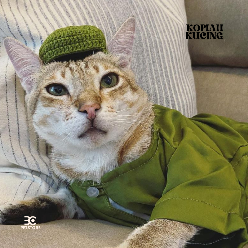 KOPIAH KUCING UNTUK HARI RAYA | LOCAL SELLER | MURAH | Shopee Malaysia