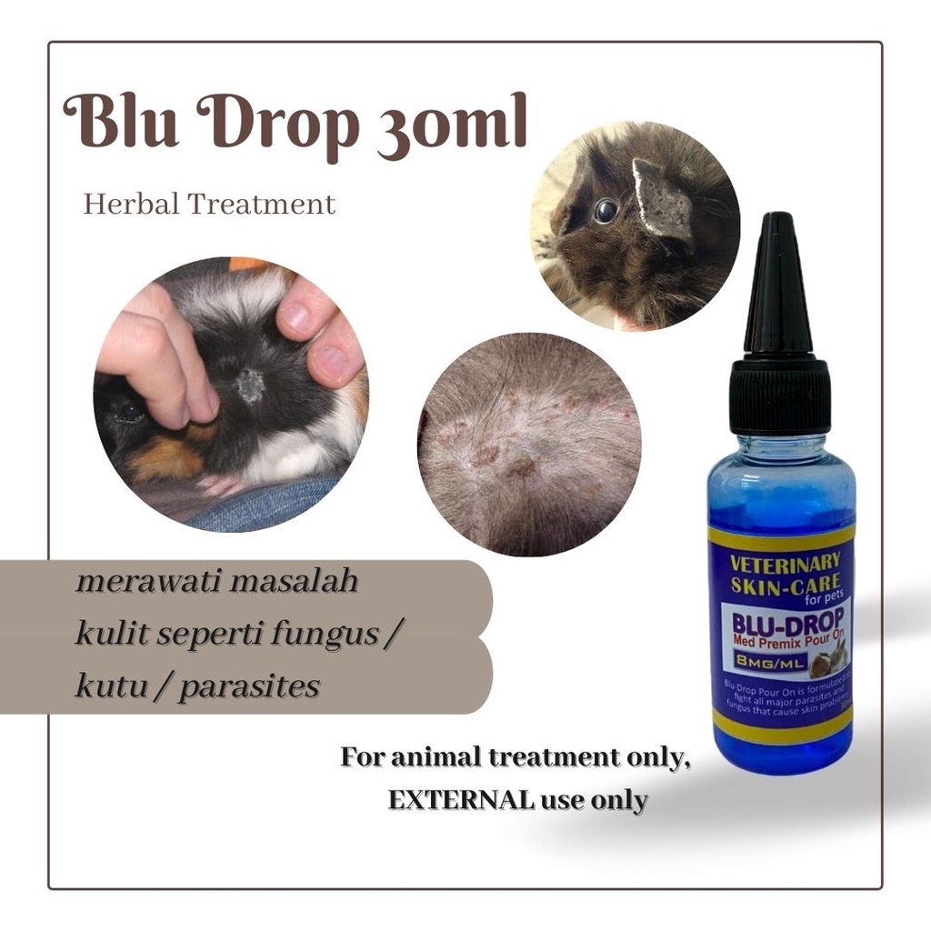BluDrop Pour On 30ml/100ml for Fungus Infection Ubat titis bagi