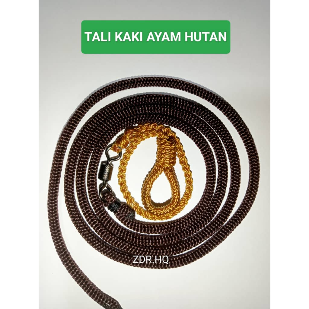 Tali kaki ayam hutan berkualiti panjang 3kaki,TALI KAKI AYAM | Shopee ...