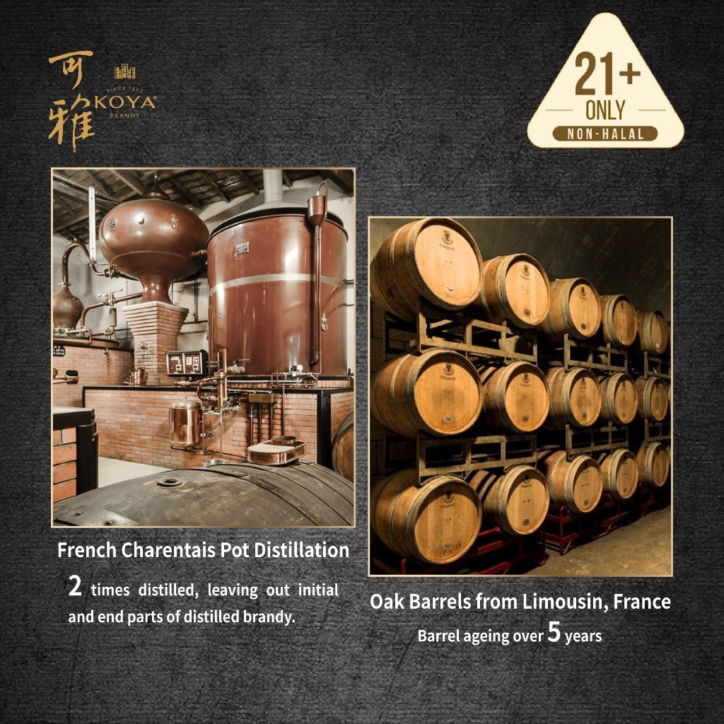KOYA 可雅桶藏15年XO 白兰地40% 650ml - KOYA XO Brandy 15 KOYA 可雅桶藏15年XO 白兰地40% 650ml - KOYA XO Brandy 15