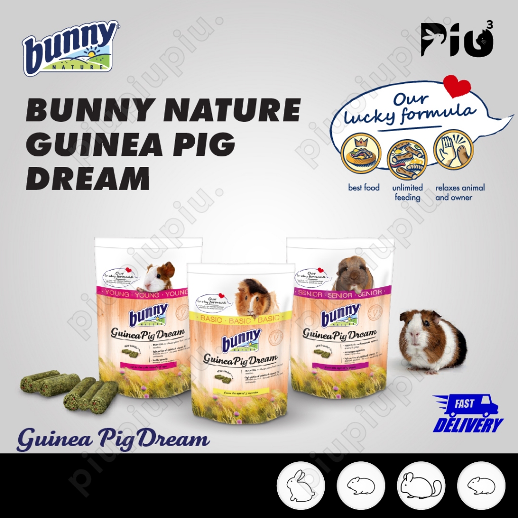 Curated visual reference: Picture Idea: 40 Off Bunny Nature Guinea Pig Dream Young Adult Senior