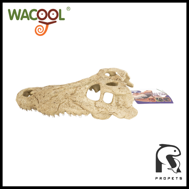 WACOOL Crocodile Skull Hide Cave for Reptile Decoration (S/M/L ...