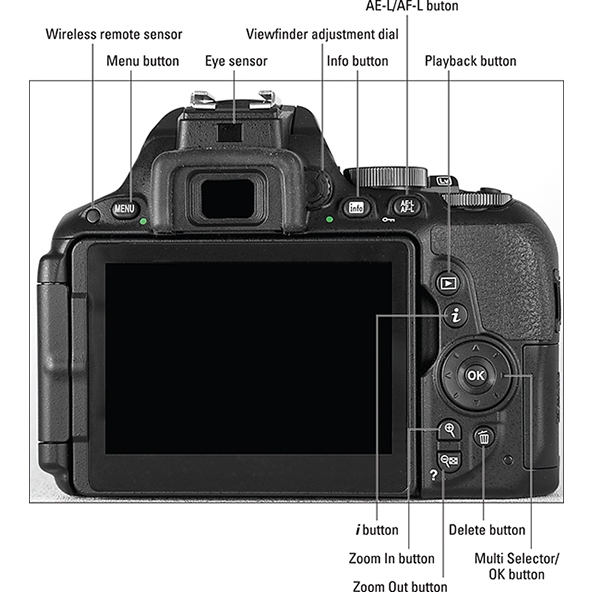 Nikon D5500 DX-format Digital SLR w/ 18-55mm VR II Kit ( 2 Nikon D5500 DX-format Digital SLR w/ 18-55mm VR II Kit ( 2