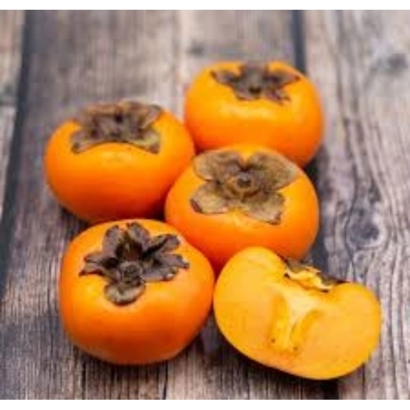 ANAK POKOK PERSIMMON / PISANG KAKI | Shopee Malaysia