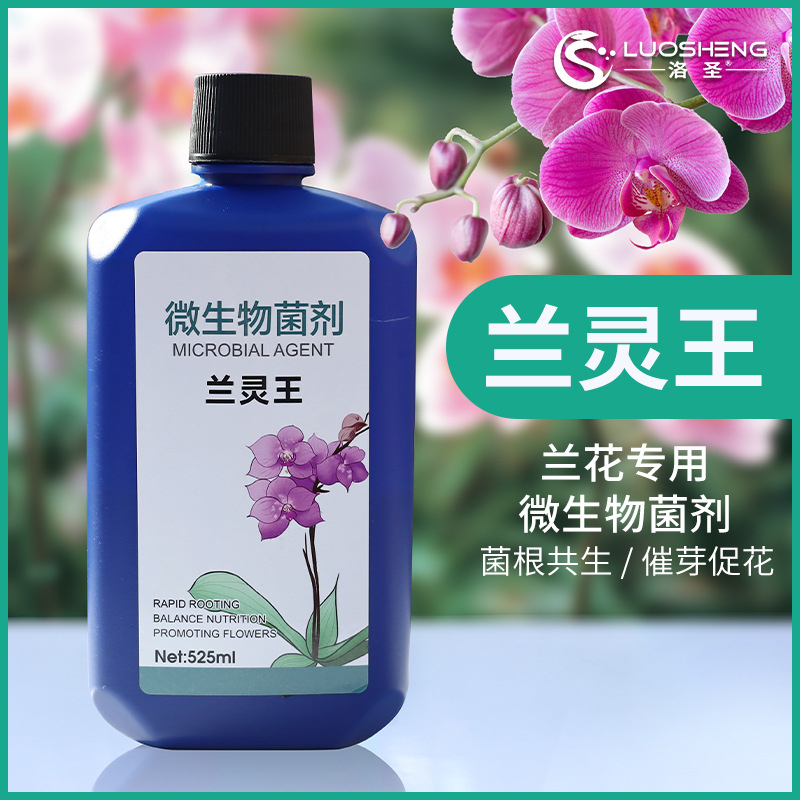 Orchid 兰花 蝴蝶兰 Genuine Lanling King Orchid fertilizer baja orchid Liquid ...