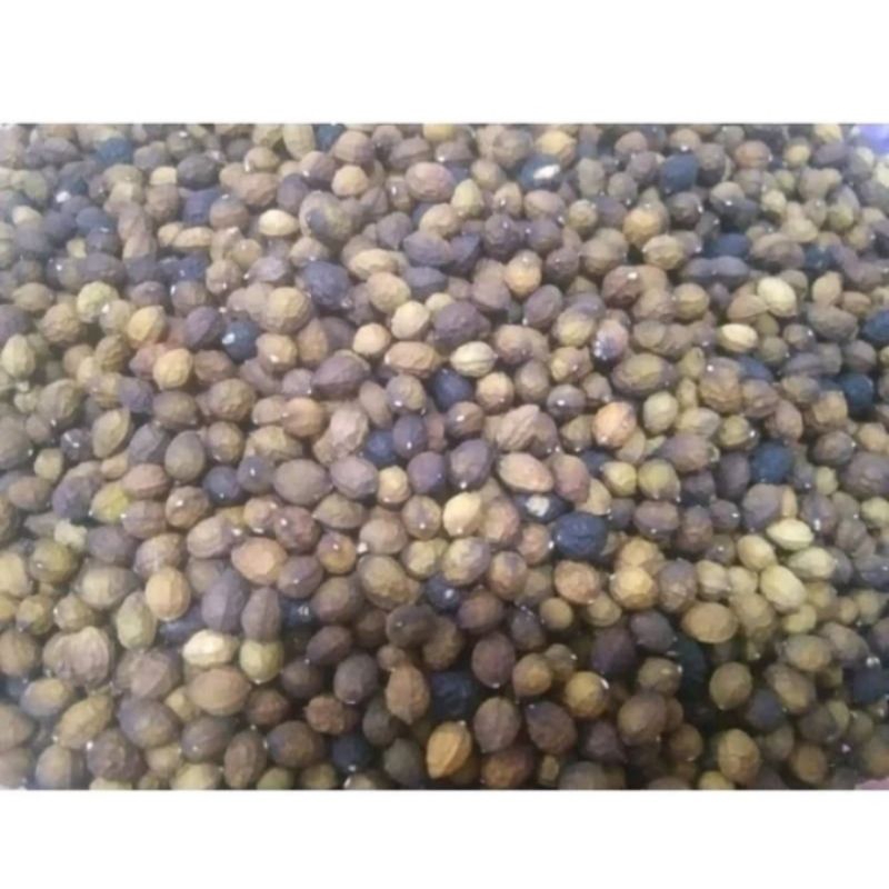 Melada pahit kering, lada pahit, 150g rm25 | Shopee Malaysia