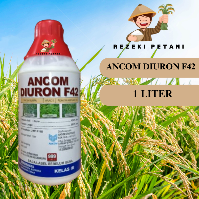 [ORIGINAL] 1L ANCOM DIURON F42 Racun Rumput Sambau Rumput Degil /Sambau ...