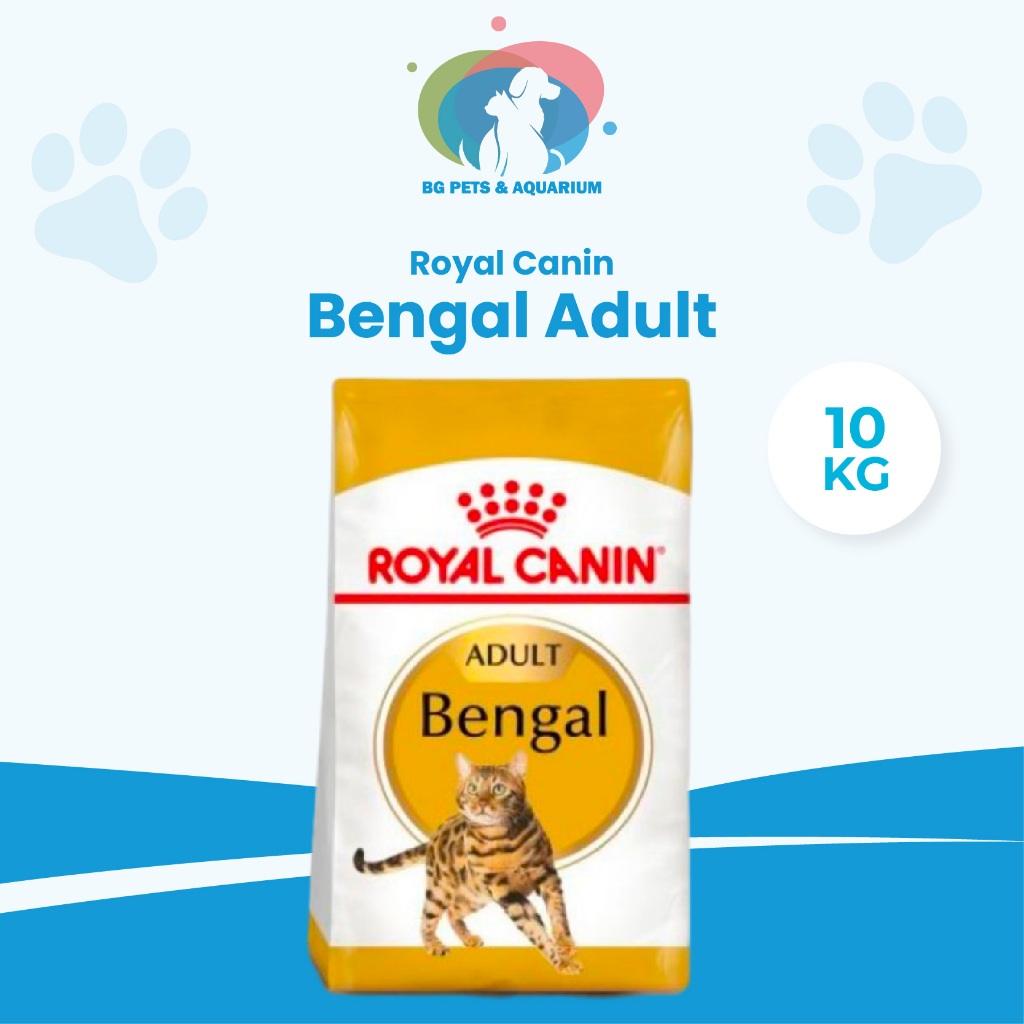 Royal Canin Bengal Adult Katzenfutter – 10 Kg Sack, Mit Hochverdaulichen Proteinen Für Muskelerhalt & Gesundes Fell