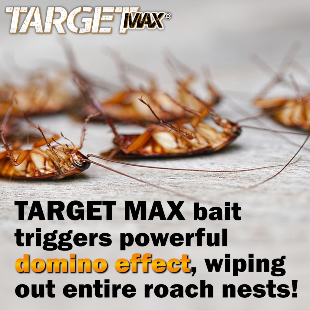TARGET MAX Cockroach Killer Bait Ubat Lipas Perangkap Racun Lipas Rumah ...