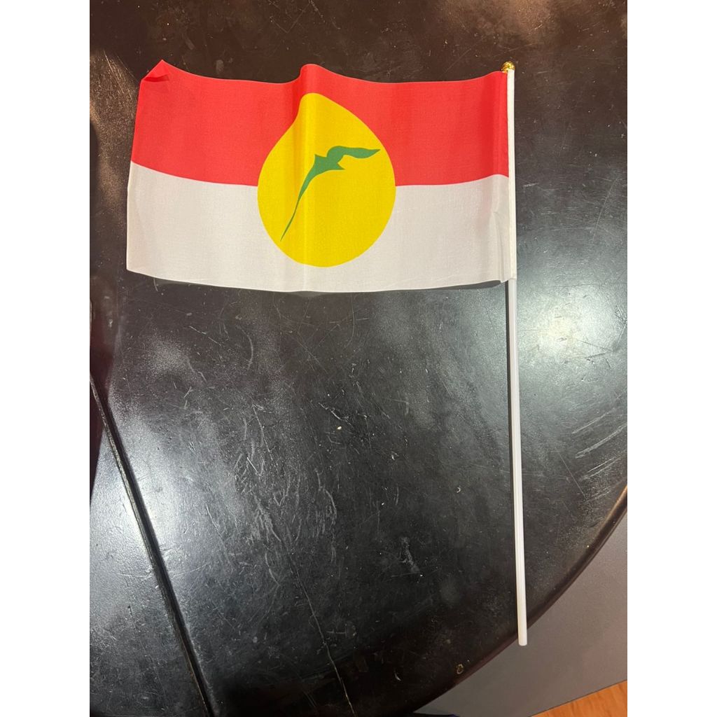 Bendera Tangan UMNO (10 pcs) | Shopee Malaysia