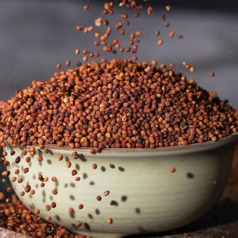 诚信堂 中药材 菟丝子 Seed Chinese Dodder Seed（200G） | Shopee Malaysia