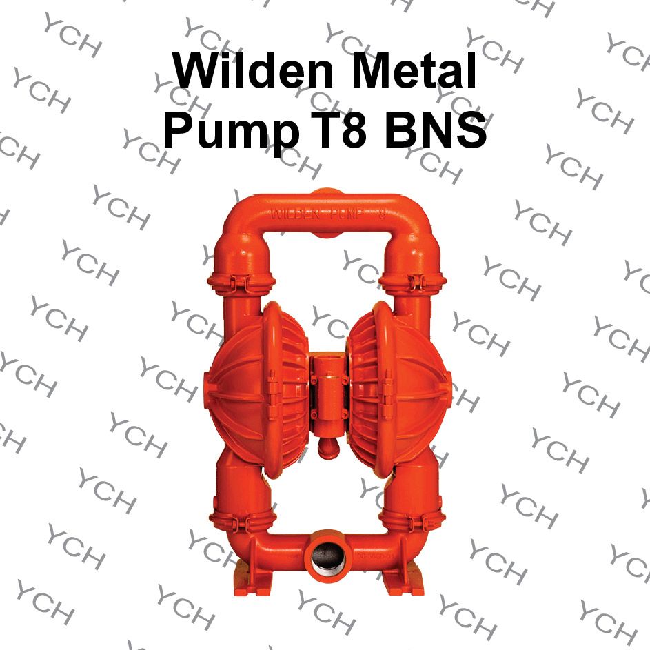 2 Inch Wilden T8 Air Operated Double Diaphragm Pump Aodd Shopee Malaysia