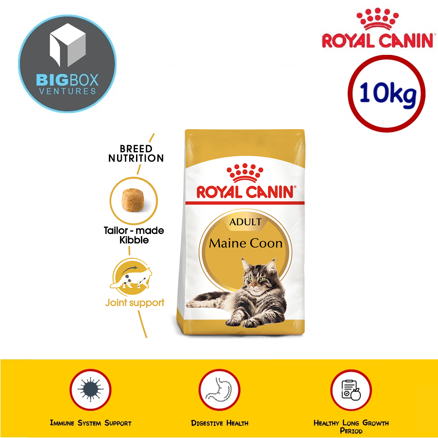 Royal canin maine coon 2024 10kg