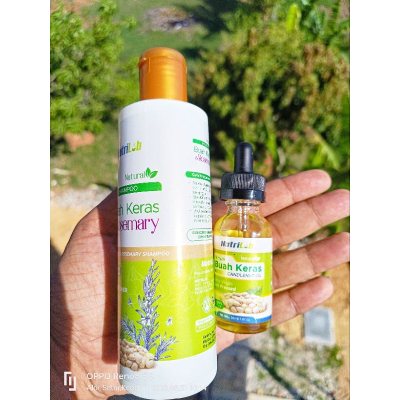 🔥SET LENGKAP MINYAK BUAH KERAS+SHAMPOO BUAH KERAS ASLI UNTUK RAMBUT ...