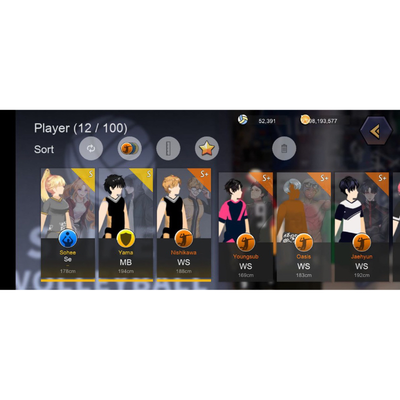 The Spike Volleyball Store Mobile [Nishikawa Team/Balls Topup