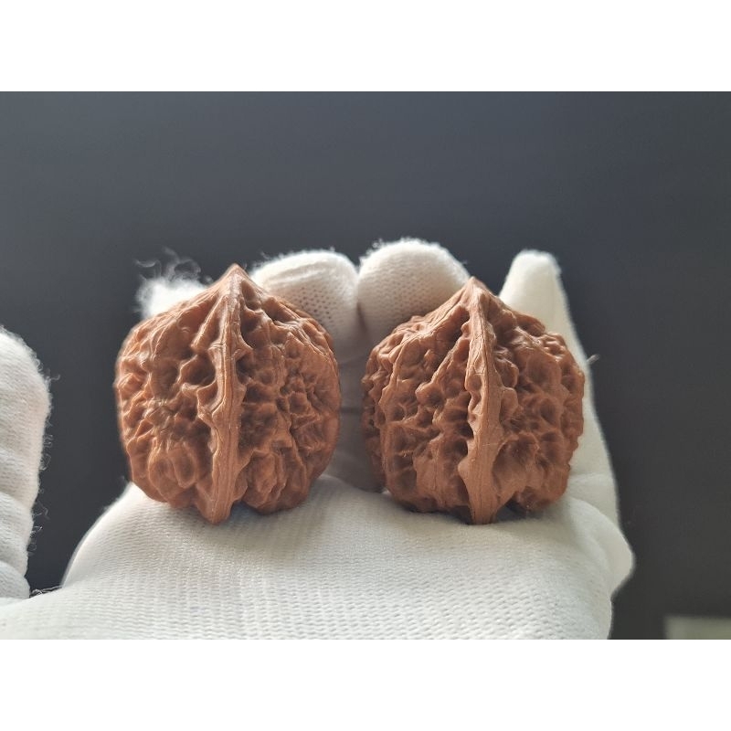 0820 白蛇谷野生小众文玩核桃一物一拍| Shopee Malaysia