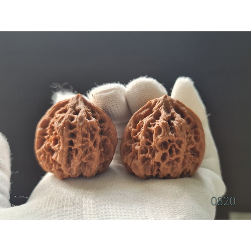 0820 白蛇谷野生小众文玩核桃一物一拍| Shopee Malaysia