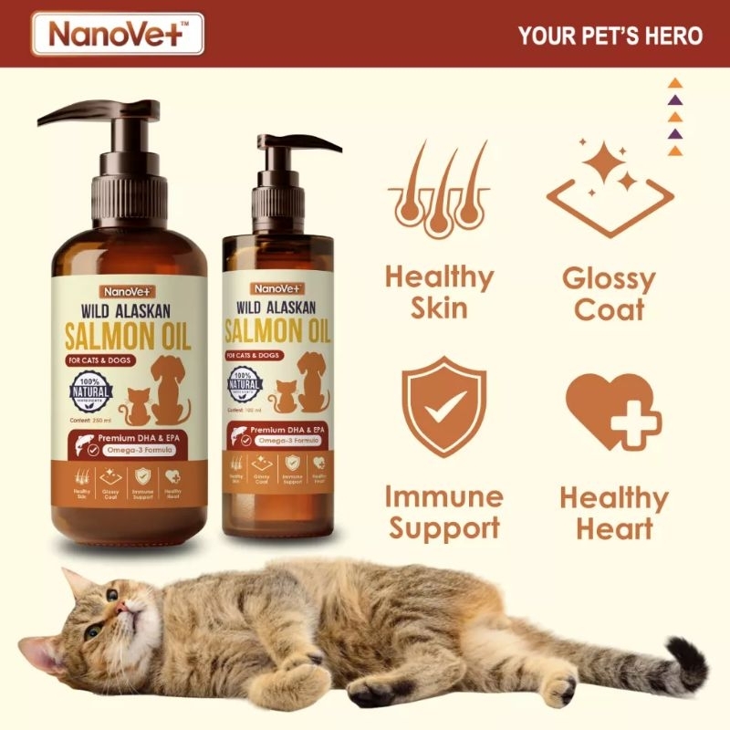 Salmon oil best sale for cats