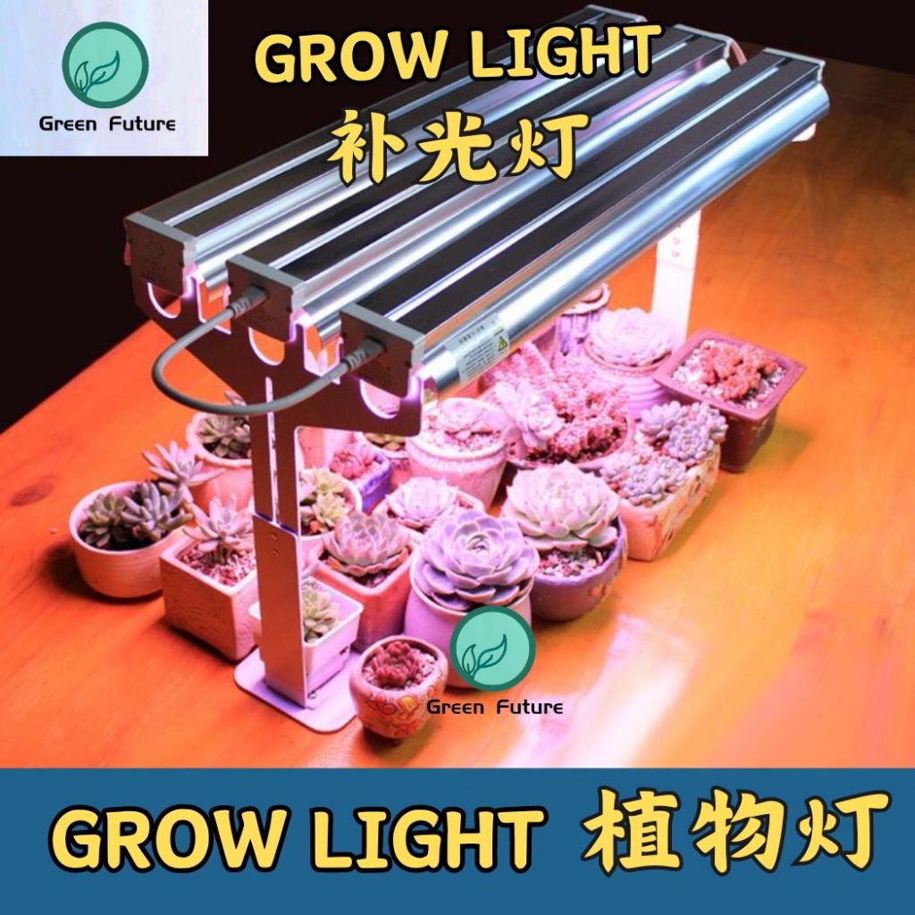 SUCCULENT CACTUS INDOOR PLANTING LED Grow light Full Spectrum Indoor ...