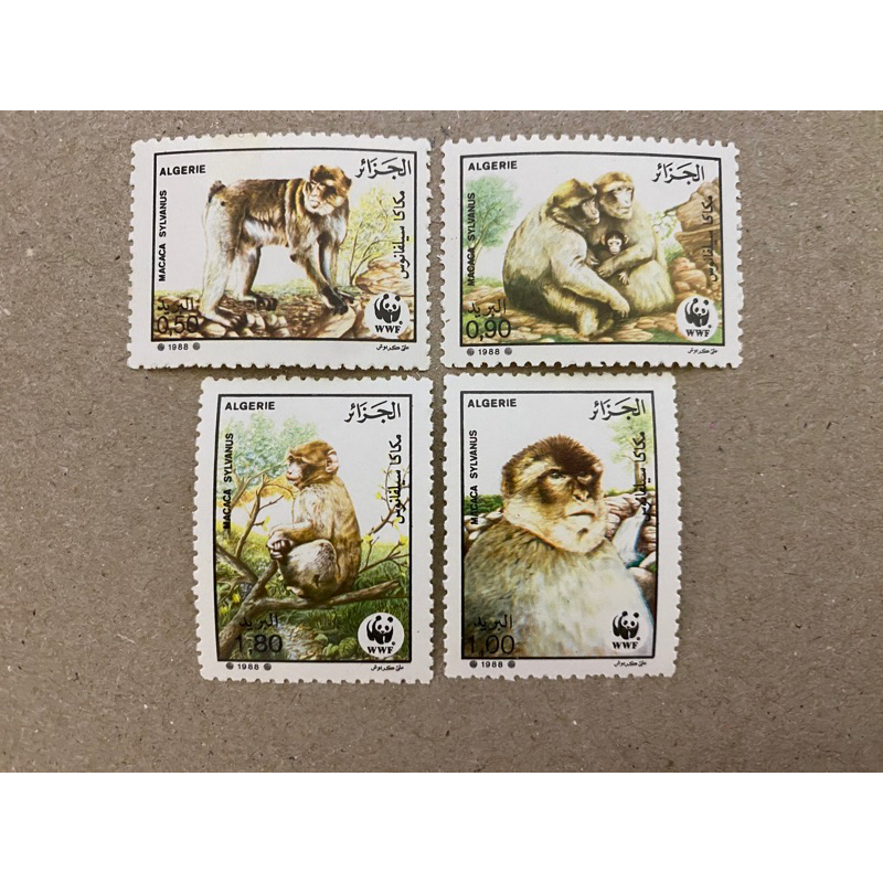 {JK} Algeria 1988 - WWF Series Monkey Stamps 4V MNH (Minor Yellowish ...