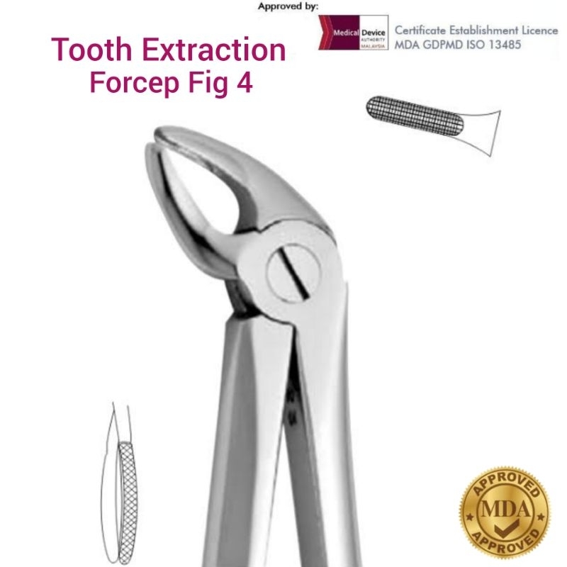 Dental Tooth Extraction Forceps Fig 4 Upper incisors & canines Adult Stainless Steel Extracting