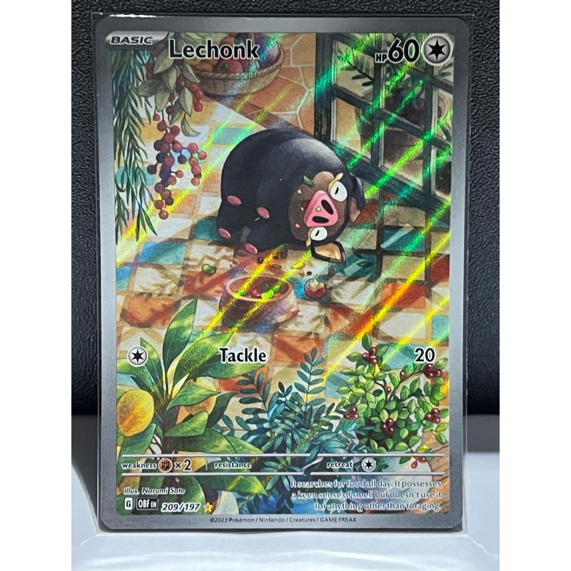 Pokemon TCG SV03 Obsidian Flames - Lechonk - 209/197 - Illustration Rare |  Shopee Malaysia