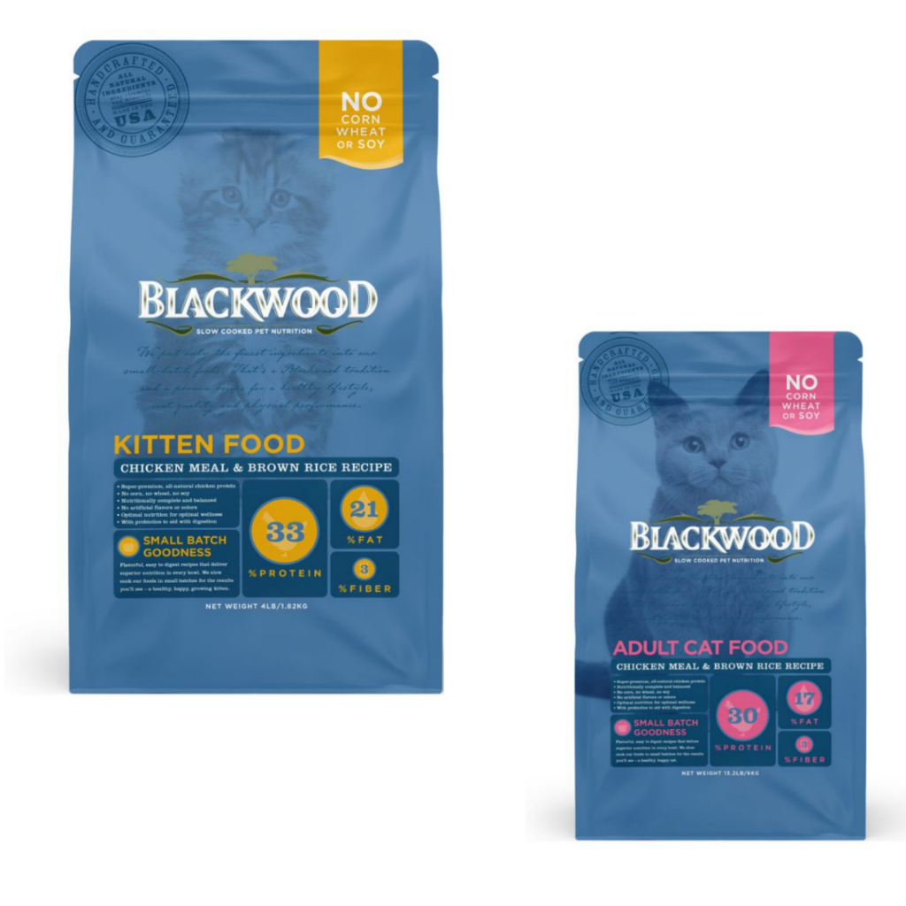 Blackwood kitten store