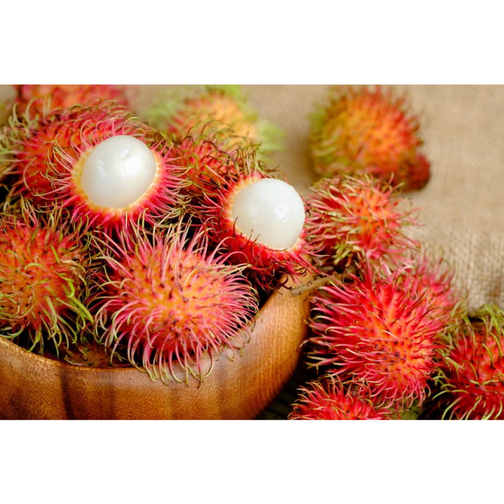 BUAH RAMBUTAN ( 1KG ) | Shopee Malaysia