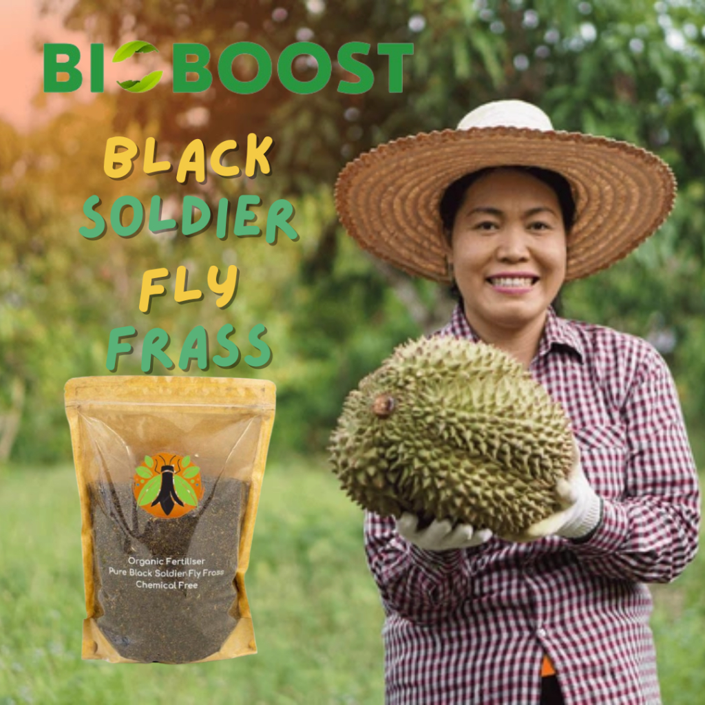 Baja Bsf Frass Bioboost Pupuk Lalat Askar Hitam Organic Fertilizer Chitin Chitosan Npk 1kg 5070