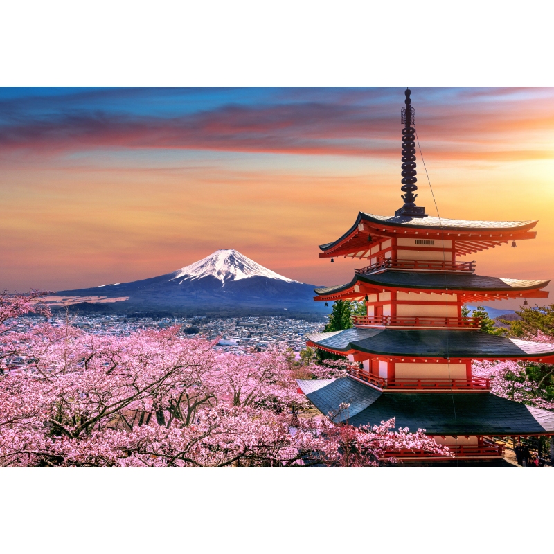 Flight to Japan RM1300 Any Date 2024 Shopee Malaysia