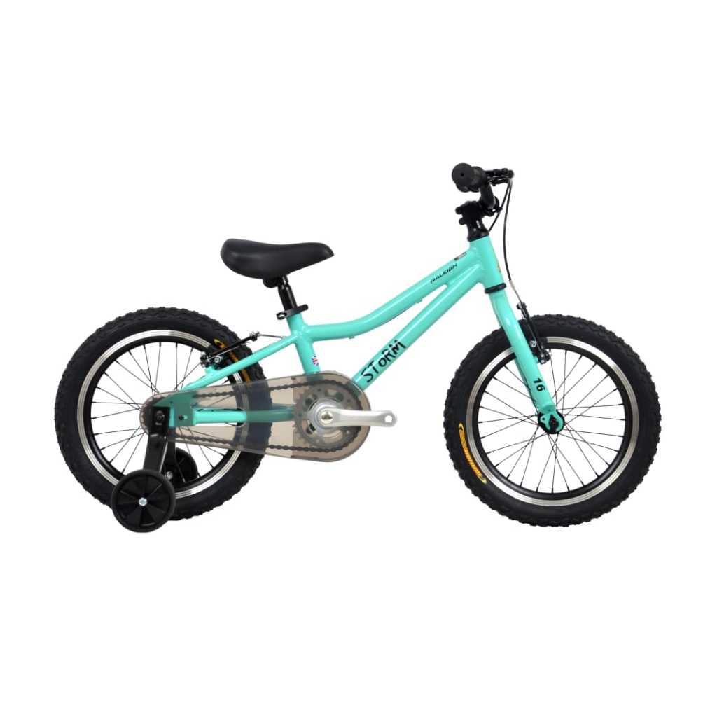 ORIGINAL RALEIGH STORM 16 ALLOY BIKE KIDS Shopee Malaysia