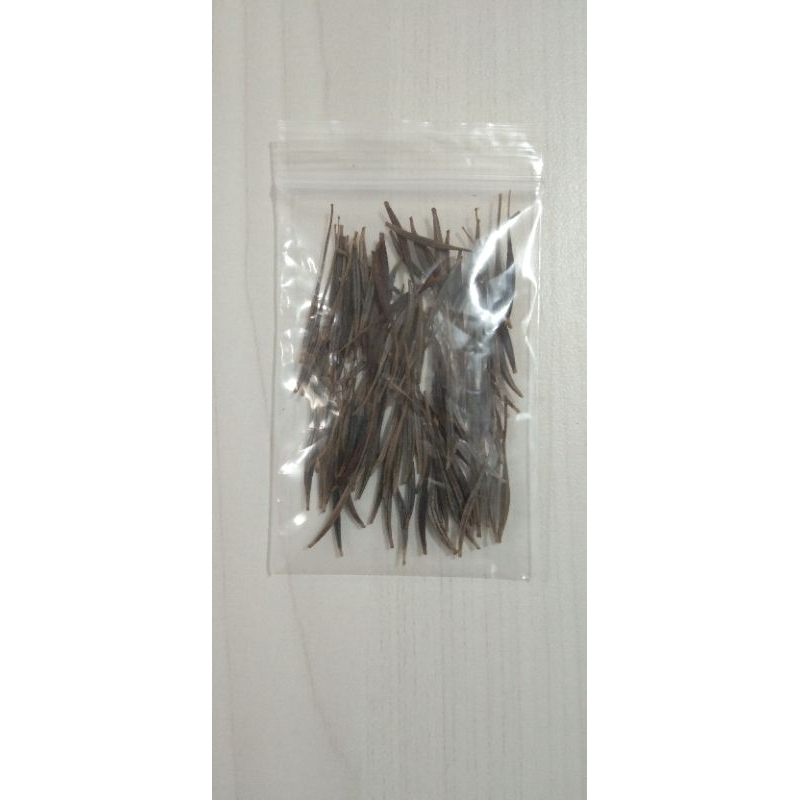 BIJI BENIH ULAM RAJA (100 BIJI BENIH) | Shopee Malaysia