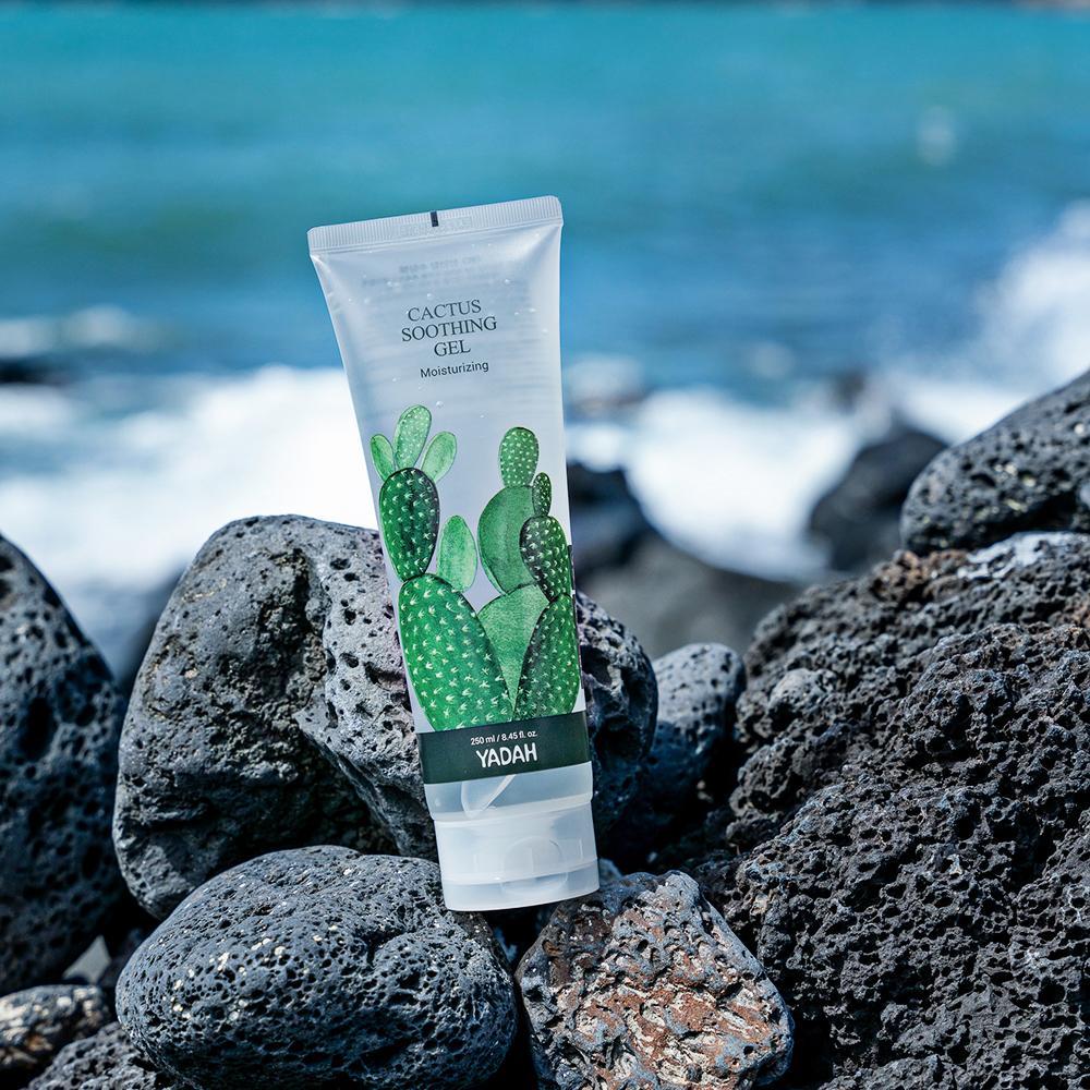 YADAH Cactus Soothing Gel (250ml) | Shopee Malaysia