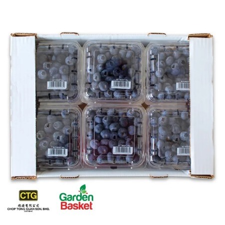 CTG India Blueberries 1 CARTON - [12 PKTS x 125g] [Healthy Snacks ...