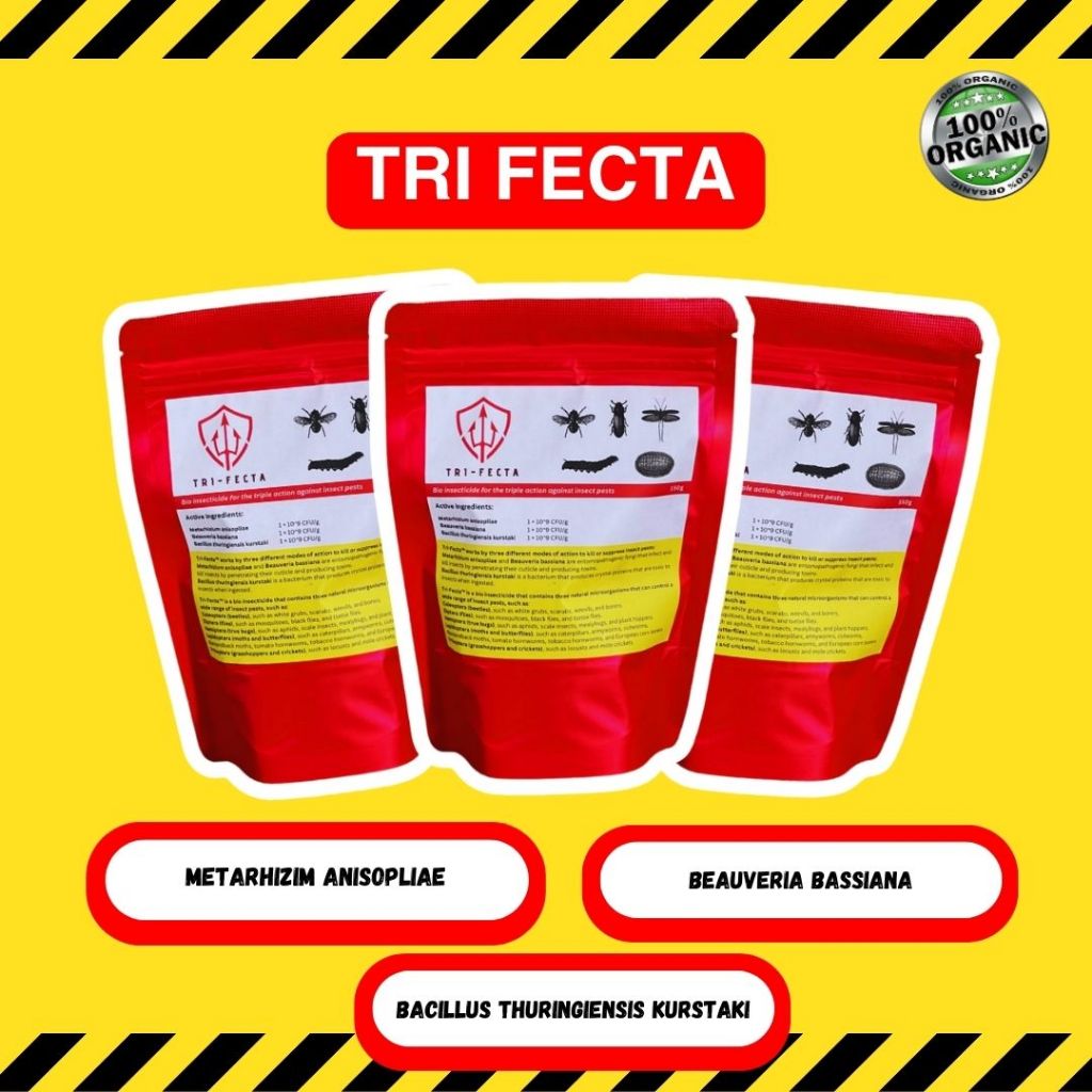 Tri Fecta Bio Insecticide Bacillus thuringeinsis kurstaki + Metarhizium ...