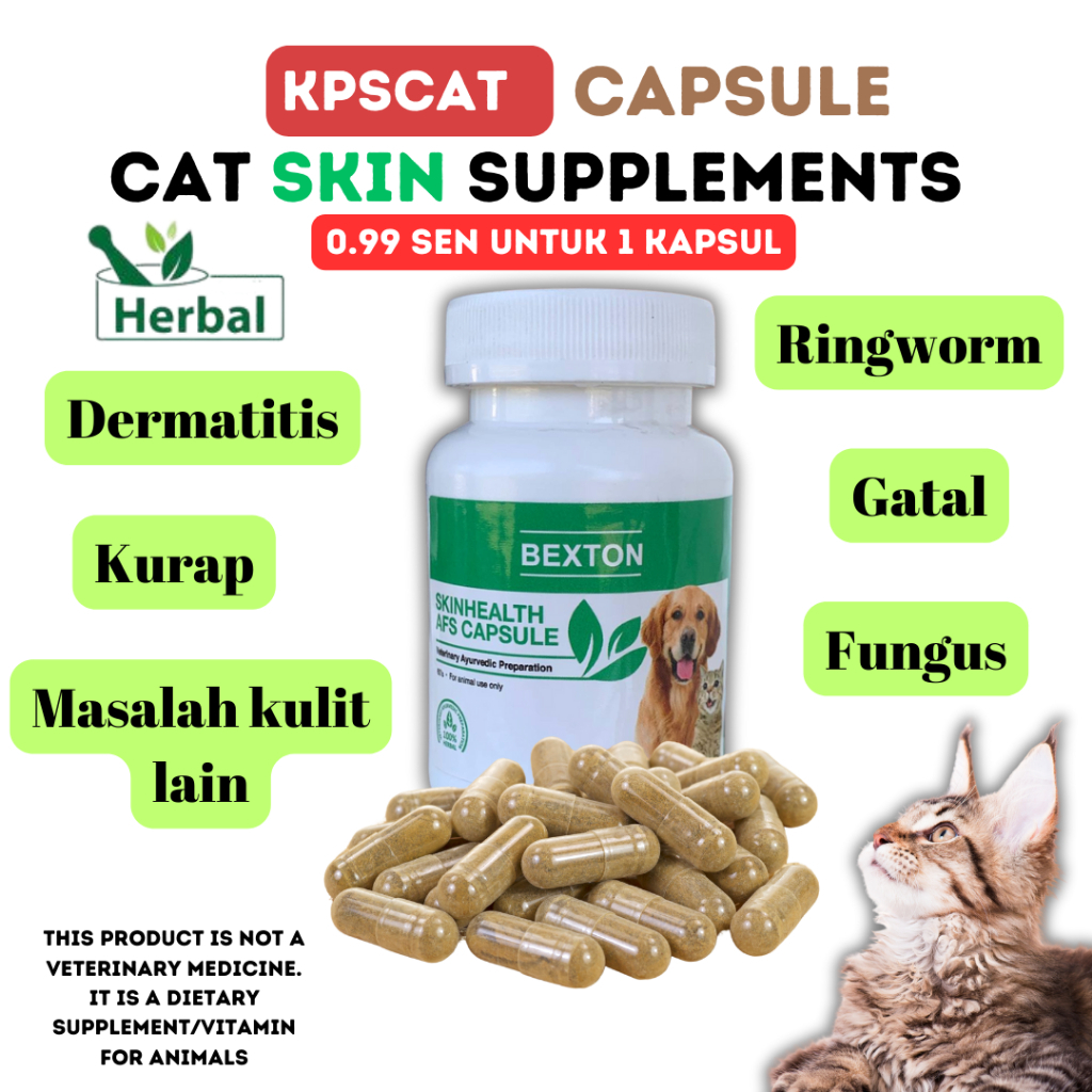 Ubat Kurap Fungus Luka Gatal Sakit Kulit Kucing Bacteria Masalah Kulit