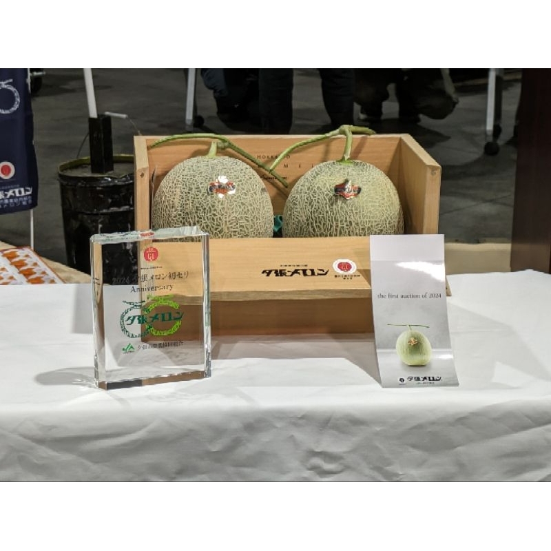 [MOST LUXURY/极品] Japan Hokkaido Yubari King Melon Seeds/Benih 5 pcs [极品