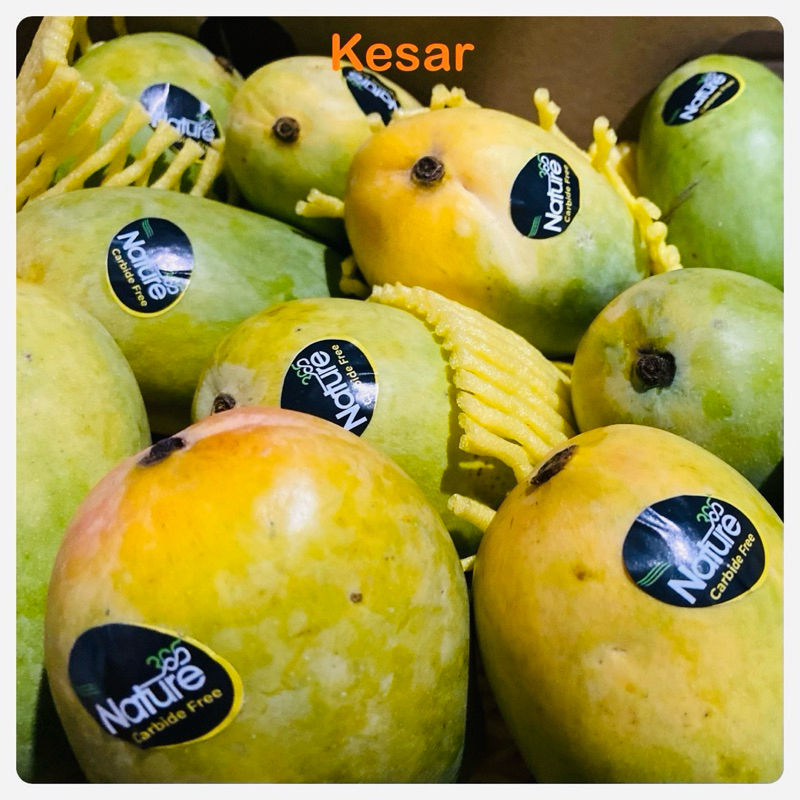 Indian Mango/Kesar Mango/Kesari Mango/indian mango Shopee Malaysia