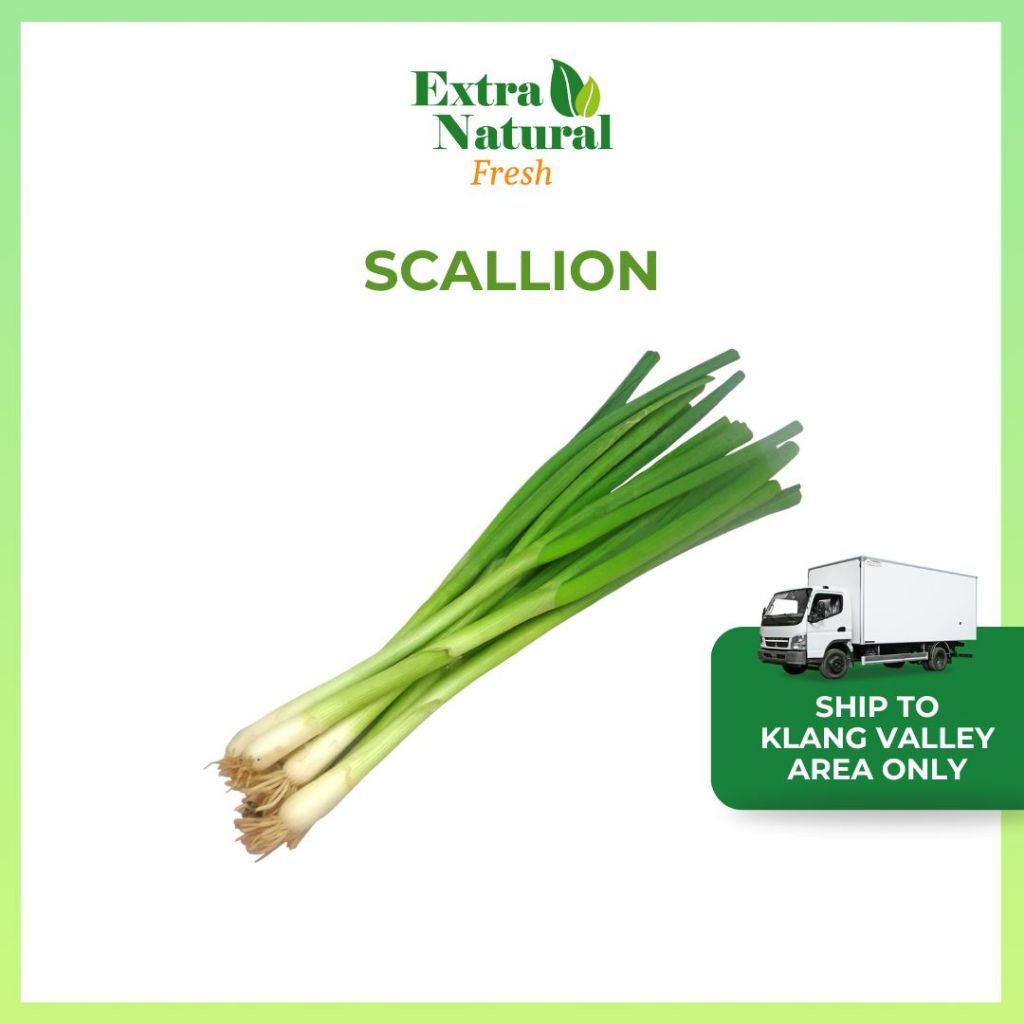 Fresh Scallion 1pkt (+/-300g) |Fresh Vegetable| [Extra Natural Fresh ...