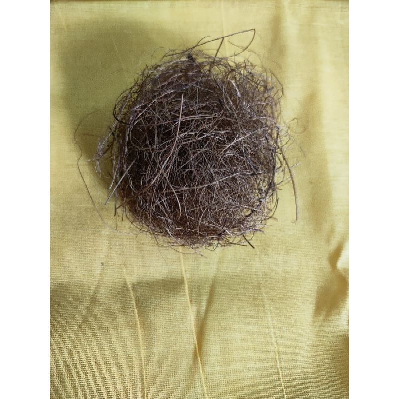 Akar / rambut cenuai | Shopee Malaysia